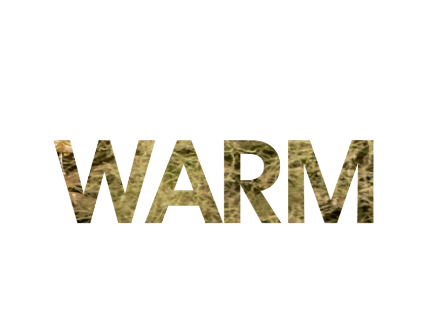 30.png 30.png
