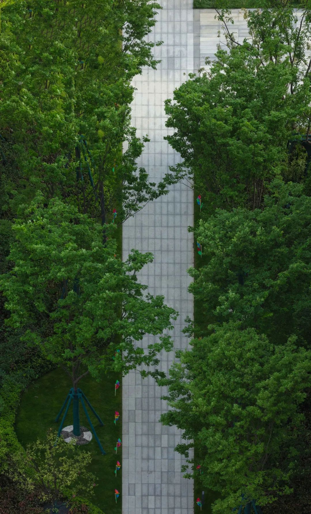 202206241438323857264 10.jpg
