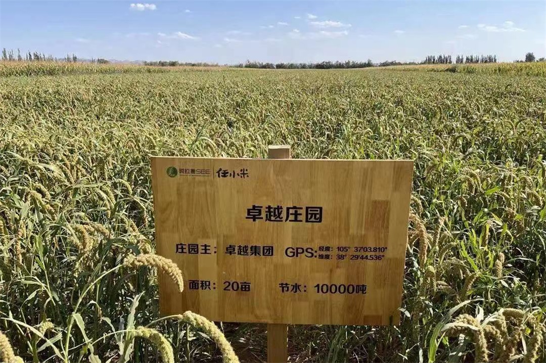 202207191413325539412 2.2 - 副本 - 副本.jpg